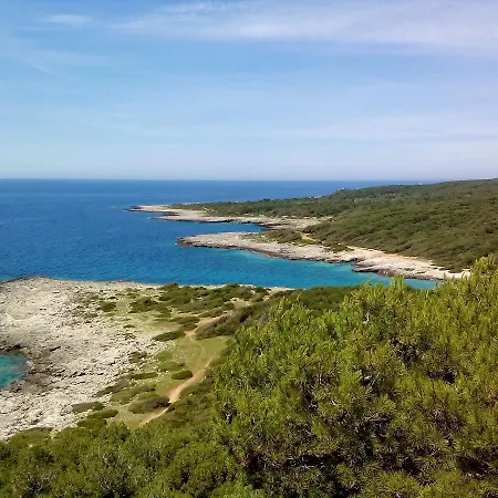 Gli Ulivi Bed & Breakfast